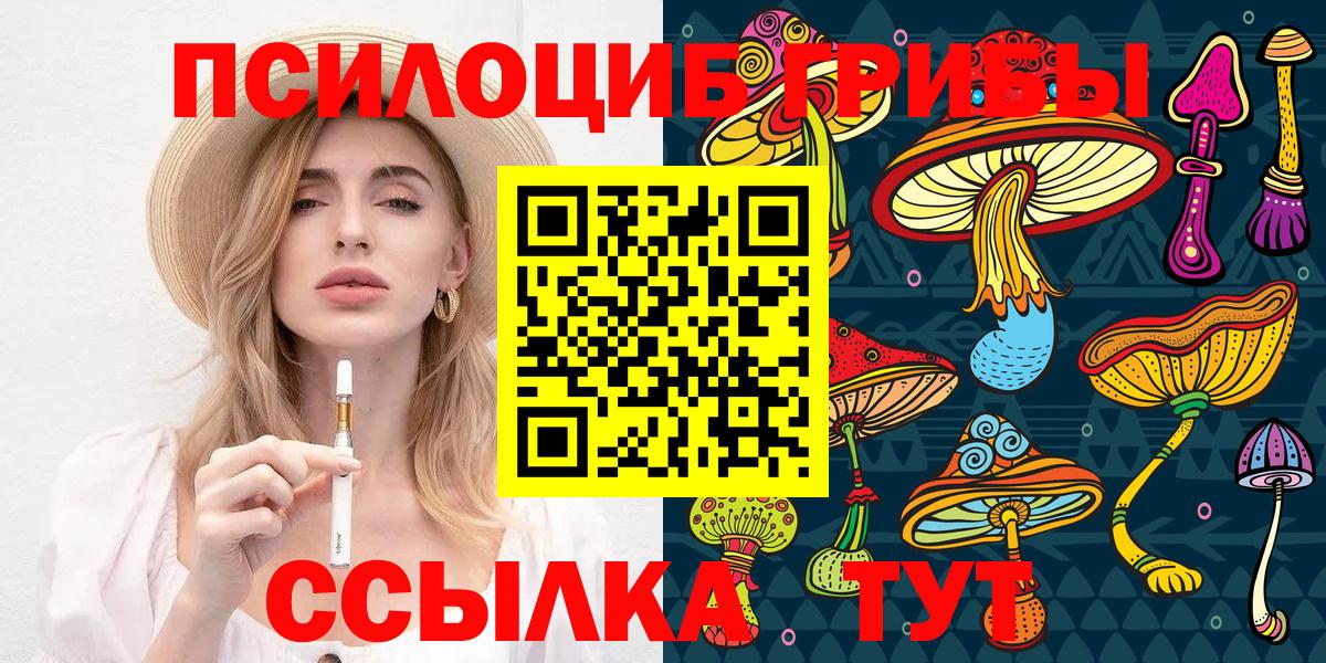 Светлоград  купить наркоту  Вход с VPN  Псилоцибиновые грибы Psilocybe 